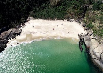 Praias com selo no Brasil se destacam como sustentáveis no verão